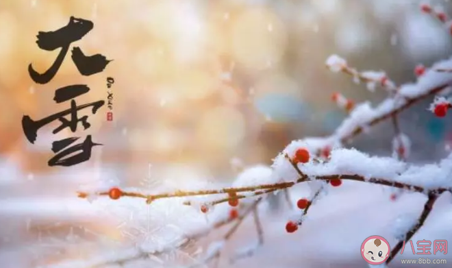 大雪節氣應該吃點什么補充 大雪節氣吃什么最好