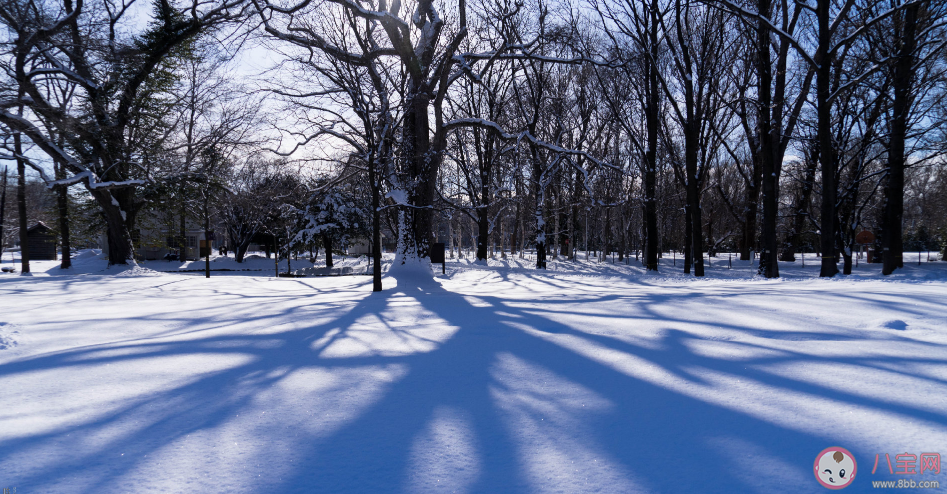 2019今日大雪的祝福 今日大雪發(fā)什么說(shuō)說(shuō)朋友圈