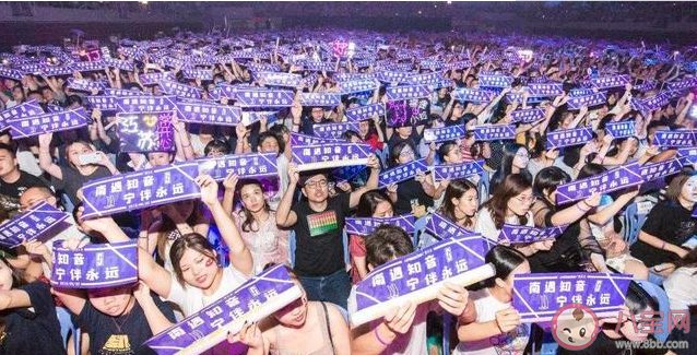 飯圈代餐是什么梗 飯圈代餐是什么意思