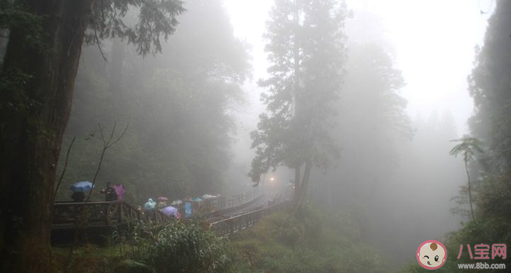 早上起霧了的心情感言句子 早上大霧的個性說說文案 早上起霧了的心情感言句子 早上大霧的個性說說文案