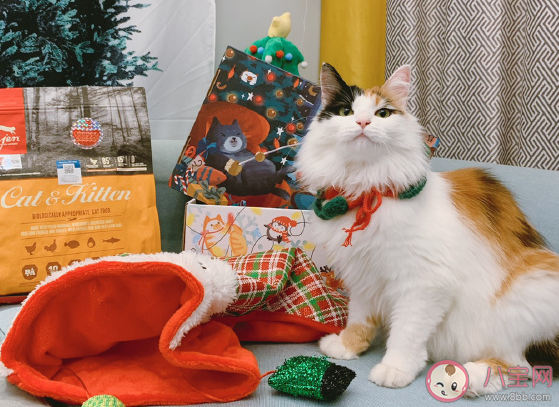 收到圣誕節禮物開心心情說說2019 圣誕節收到禮物怎么發朋友圈 收到圣誕節禮物開心心情說說2019 圣誕節收到禮物怎么發朋友圈