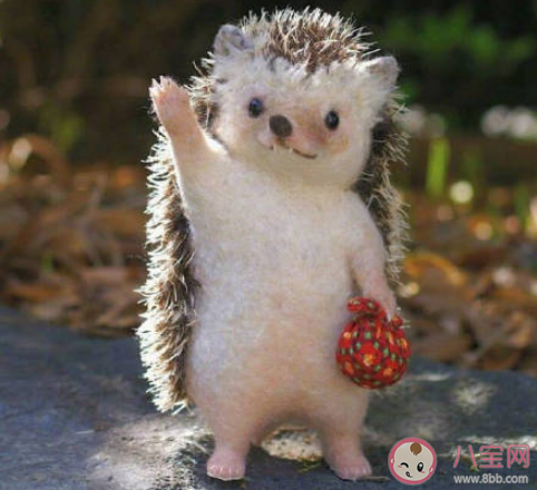 呼啦圈式人格是什么意思 呼啦圈式人格的特征有哪些