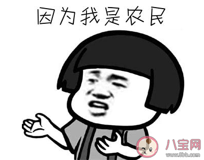 龍鳴是什么梗 龍鳴梗的出處是什么 龍鳴是什么梗 龍鳴梗的出處是什么