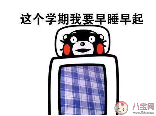 計劃通是什么意思 計劃通梗的出處是什么 計劃通是什么意思 計劃通梗的出處是什么