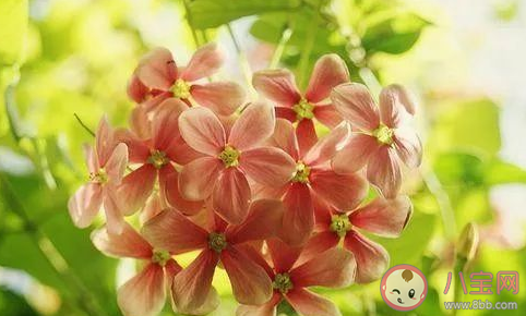 2020元旦微信短信祝福語語大全 元旦節(jié)微信朋友圈問候語