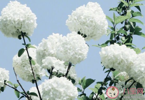 中文里很美的詞匯大全 十字以內的小短句