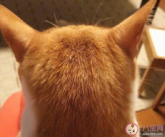 2020元旦節一個過傷感說說 一個人過元旦朋友圈圖片句子