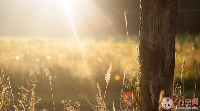 今天太陽很好的朋友圈說說配圖 今天太陽很好的朋友圈唯美文藝句子