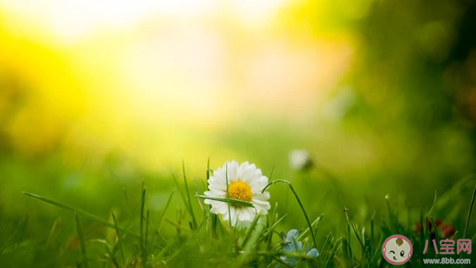 今天太陽很溫暖的唯美說說配圖 太陽很溫暖的文藝句子