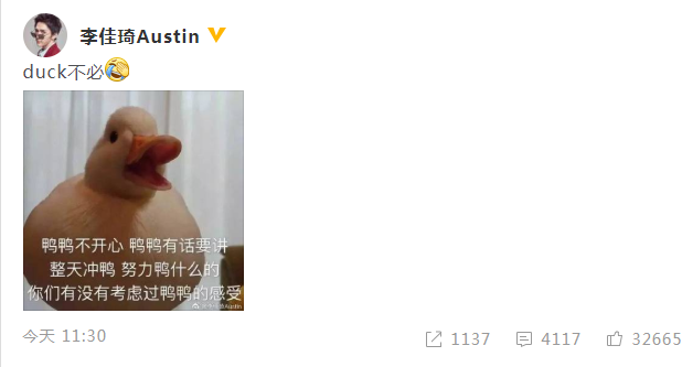 duck不必表情包圖片 duck不必表情包原圖
