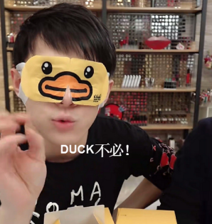 duck不必表情包圖片 duck不必表情包原圖