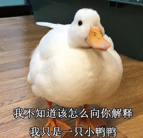 duck不必表情包圖片 duck不必表情包原圖