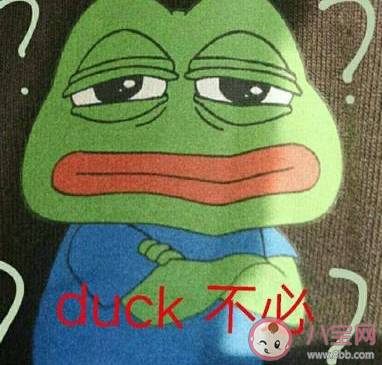 duck不必類似的梗 duck不必怎么回