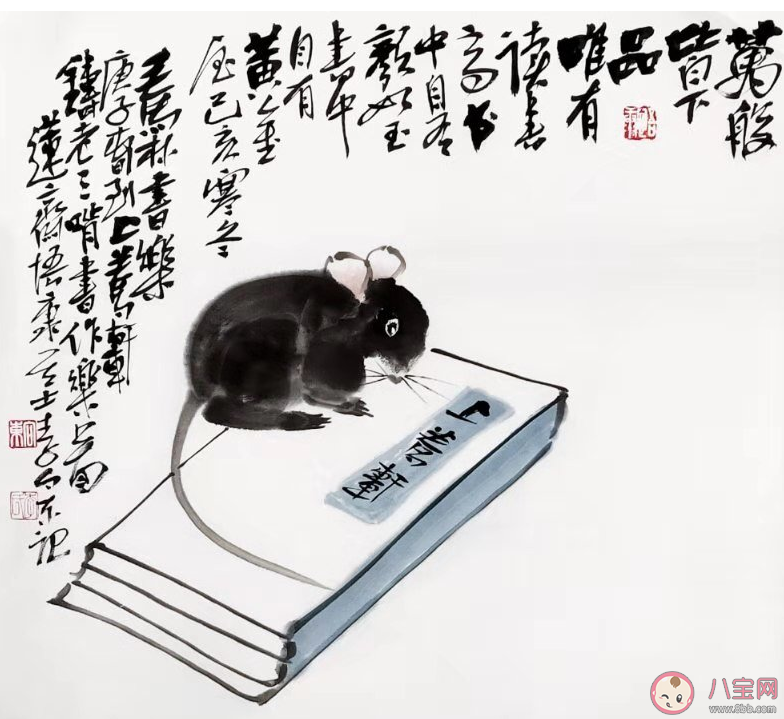 2019即將過去心情句子 2019即將過去感慨朋友圈