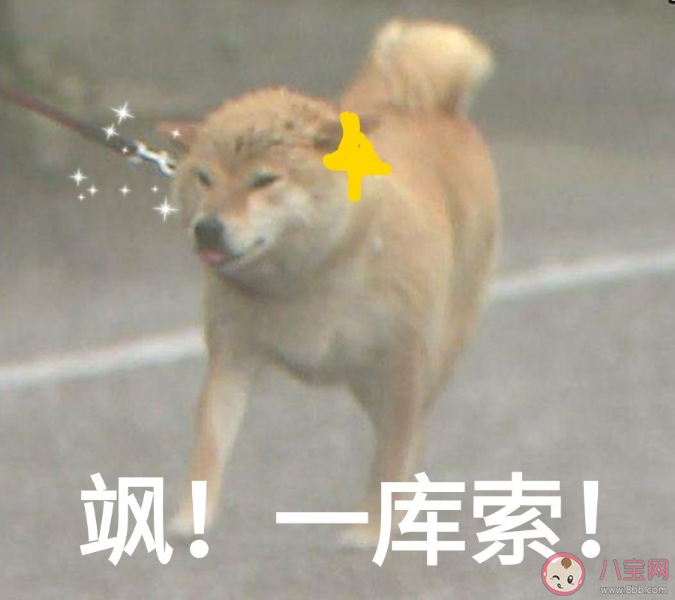 2019即將過去發點什么好 2019即將過去說說感悟