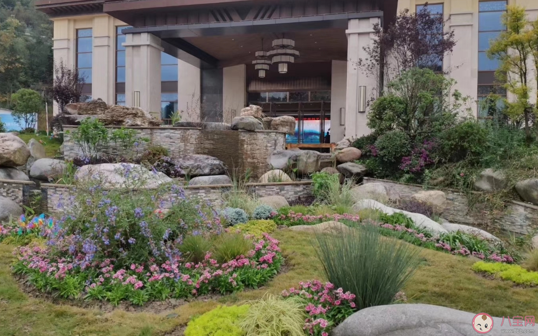 2019即將過去的說說 2019即將過去抒發情感的句子