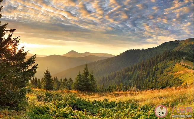 今天太陽很好的朋友圈怎么發 今天太陽很好的朋友圈說說