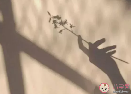 特意為你寫了一首歌是什么歌 歌曲《驚喜》歌詞完整版在線試聽