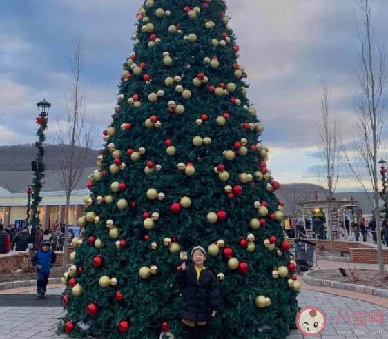 又是一年過完了的心情感慨 感嘆一年過去了朋友圈說說 又是一年過完了的心情感慨 感嘆一年過去了朋友圈說說