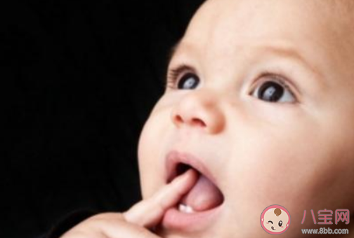 寶寶長牙階段要注意什么 寶寶開始長牙媽媽要怎么護理