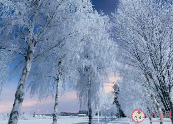 冬至到一句話感慨說說2019 過冬至發表朋友圈微信說說 冬至到一句話感慨說說2019 過冬至發表朋友圈微信說說