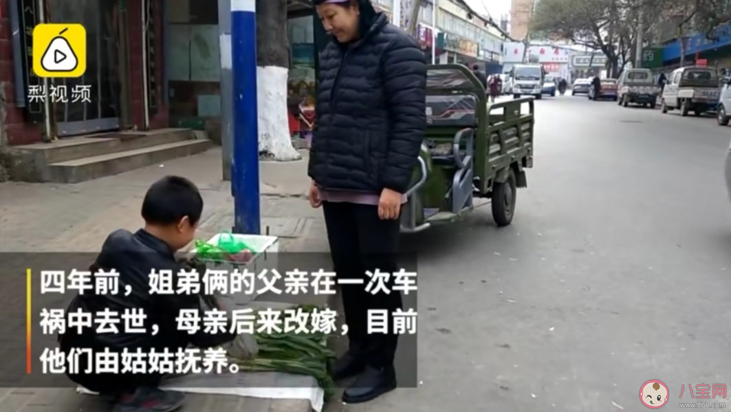 14歲姐姐去8歲弟弟家長會是怎么回事 姐姐可以當弟弟的家長開家長會嗎