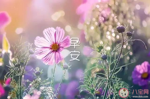 2020第一天早安說說句子 2020第一天微信朋友圈問候語說說 2020第一天早安說說句子 2020第一天微信朋友圈問候語說說