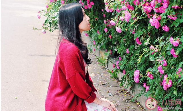 當代植物系女孩是什么意思 植物系女孩有什么特點 當代植物系女孩是什么意思 植物系女孩有什么特點