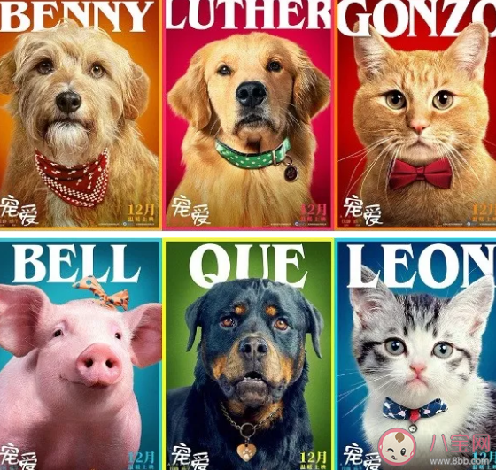 電影《寵愛》吳磊張子楓什么關(guān)系 電影寵愛主演演員有哪些 電影《寵愛》吳磊張子楓什么關(guān)系 電影寵愛主演演員有哪些