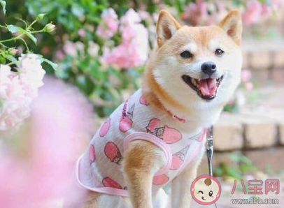 性格里既懶惰又認真是怎樣的 既懶惰又認真的性格特點