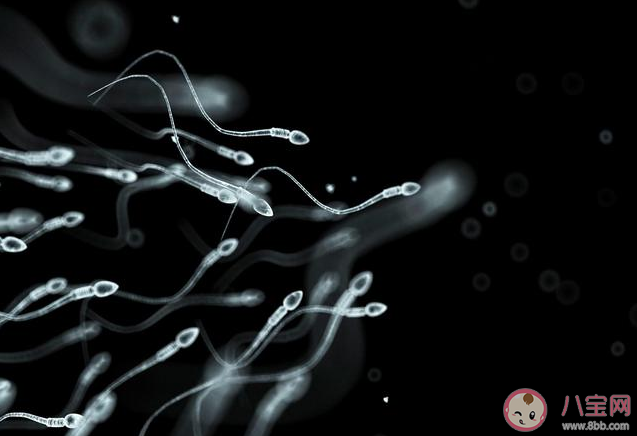 泳池內有精子會導致女性懷孕嗎 公共泳池游泳預防什么疾病