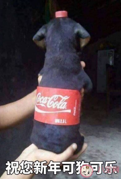 2020年跨年表情包無水印 2020跨年表情包分享