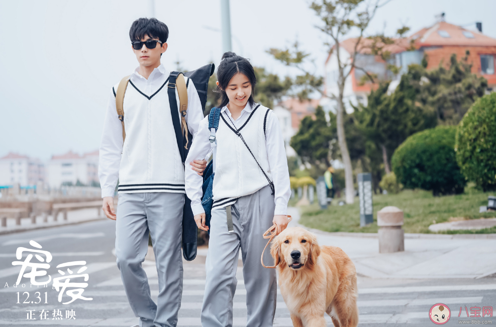 寵愛電影寵物都是什么品種 寵愛電影里面有哪些寵物 寵愛電影寵物都是什么品種 寵愛電影里面有哪些寵物