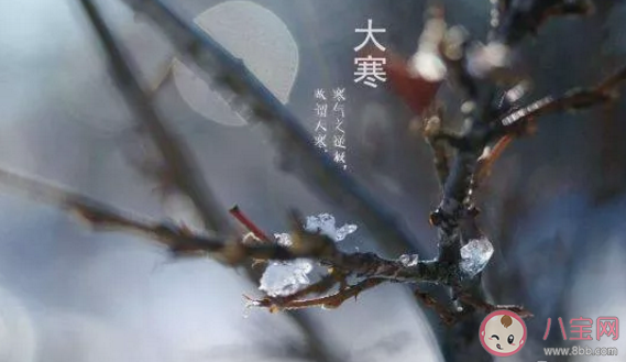 今日大寒唯美朋友圈說說 今日大寒心情感言句子