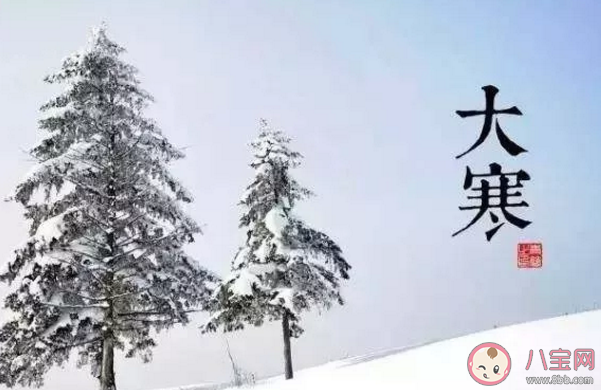 今日大寒唯美朋友圈說說 今日大寒心情感言句子