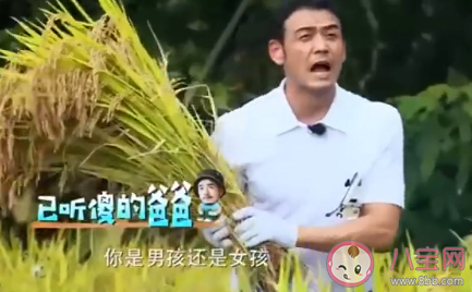 爍學(xué)是什么意思 爍學(xué)是什么梗 爍學(xué)是什么意思 爍學(xué)是什么梗