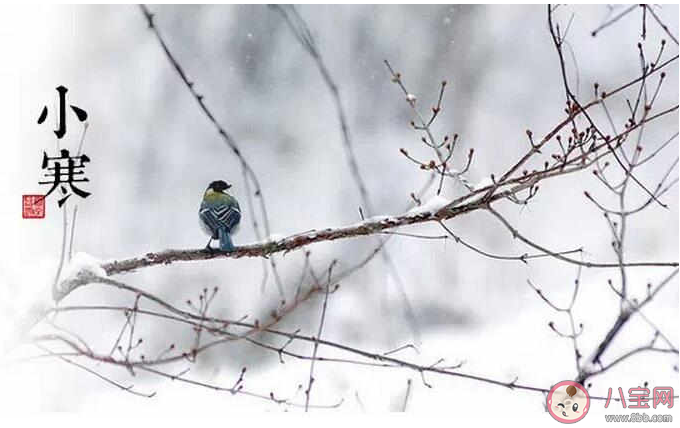 小寒節(jié)氣一句話祝福語說說大全 2020小寒節(jié)氣送祝福的說說句子 小寒節(jié)氣一句話祝福語說說大全 2020小寒節(jié)氣送祝福的說說句子