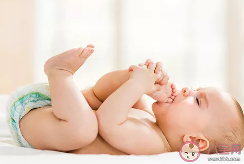 2020鼠寶寶旺哪些生肖父母 鼠寶寶旺哪些父母 2020鼠寶寶旺哪些生肖父母 鼠寶寶旺哪些父母