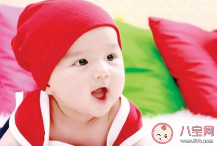 2020鼠寶寶旺哪些生肖父母 鼠寶寶旺哪些父母 2020鼠寶寶旺哪些生肖父母 鼠寶寶旺哪些父母