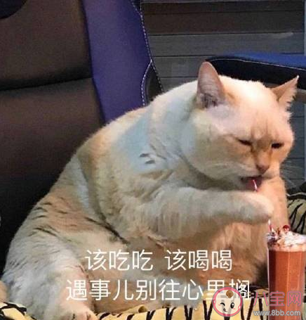 第一批20后來(lái)了90后的心情說(shuō)說(shuō) 第一批20后來(lái)了90后心情感言 第一批20后來(lái)了90后的心情說(shuō)說(shuō) 第一批20后來(lái)了90后心情感言