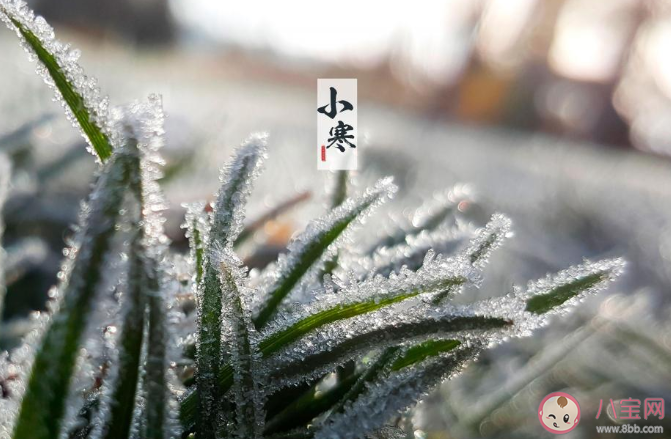 2020小寒節氣文案配圖說說句子 小寒到了朋友圈個性文案大全