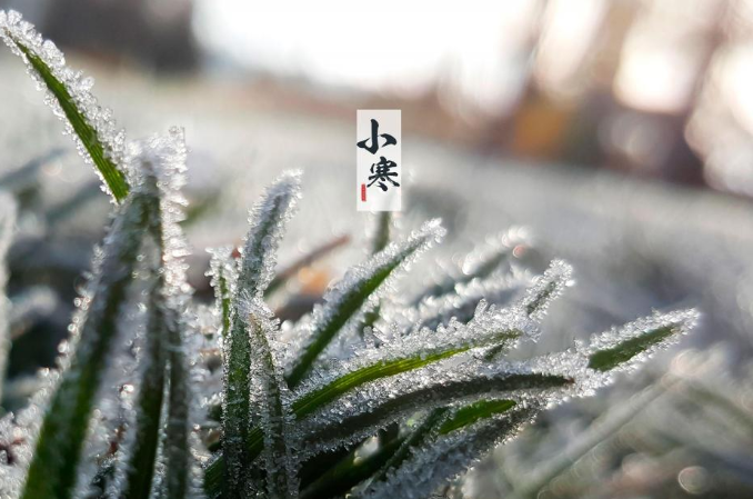 2020小寒快樂帶圖文字說說朋友圈 小寒節(jié)氣高清圖片壁紙祝福語句子 2020小寒快樂帶圖文字說說朋友圈 小寒節(jié)氣高清圖片壁紙祝福語句子