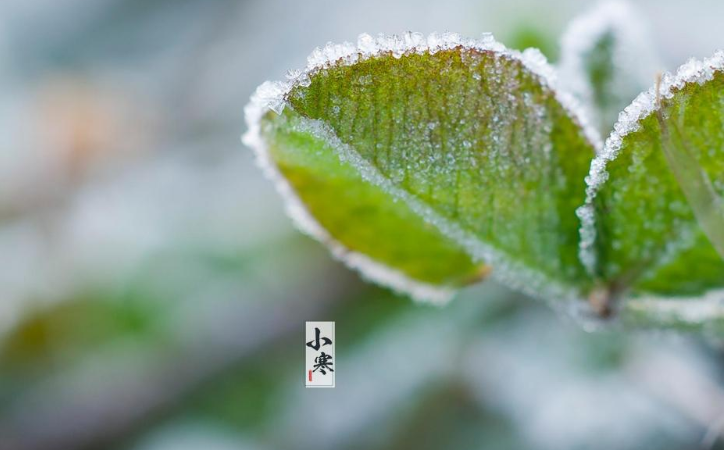 2020小寒快樂帶圖文字說說朋友圈 小寒節(jié)氣高清圖片壁紙祝福語句子 2020小寒快樂帶圖文字說說朋友圈 小寒節(jié)氣高清圖片壁紙祝福語句子