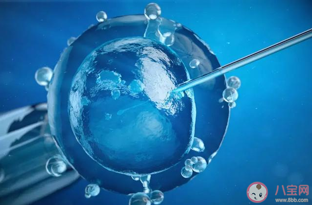 凍卵有年齡限制嗎 凍卵復蘇懷孕的幾率有多大 凍卵有年齡限制嗎 凍卵復蘇懷孕的幾率有多大