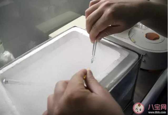 凍卵有年齡限制嗎 凍卵復蘇懷孕的幾率有多大 凍卵有年齡限制嗎 凍卵復蘇懷孕的幾率有多大