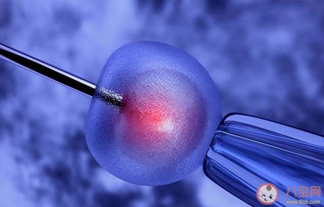 凍卵有年齡限制嗎 凍卵復蘇懷孕的幾率有多大 凍卵有年齡限制嗎 凍卵復蘇懷孕的幾率有多大