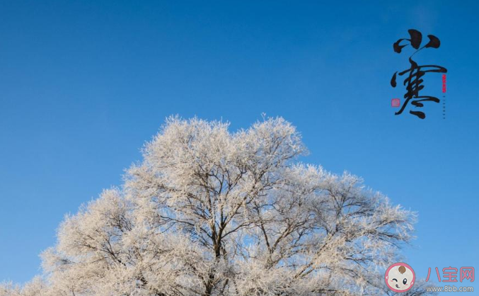 24節氣小寒發朋友圈文案句子 小寒節氣唯美說說祝福語 24節氣小寒發朋友圈文案句子 小寒節氣唯美說說祝福語