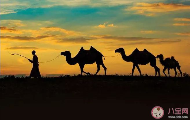 第一次一個人旅行的說說感悟句子 第一次一個人旅行的說說短語 第一次一個人旅行的說說感悟句子 第一次一個人旅行的說說短語