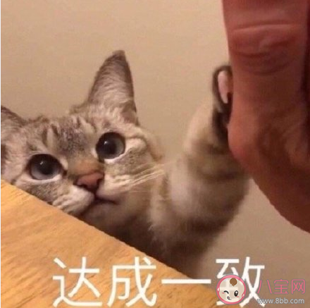 你和爸媽相同的愛好有哪些 和爸媽愛好相同是什么感受