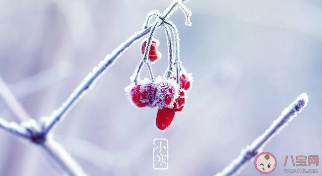 小寒是一年中最冷的時節嗎 小寒和大寒哪個更冷 小寒是一年中最冷的時節嗎 小寒和大寒哪個更冷